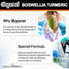 Boswellia Turmeric - Joint Health and Joint Function Support,  for Integrated Mobility & Comfort